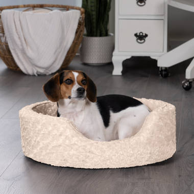 Footstool hotsell dog bed